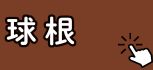 球根